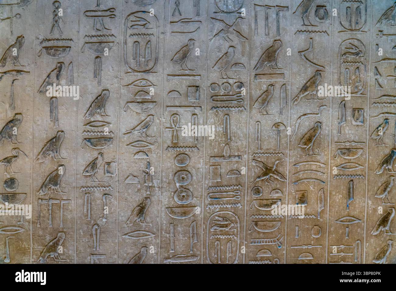 Détail des textes de la pyramide à l'intérieur de la pyramide du roi Ounas Banque D'Images