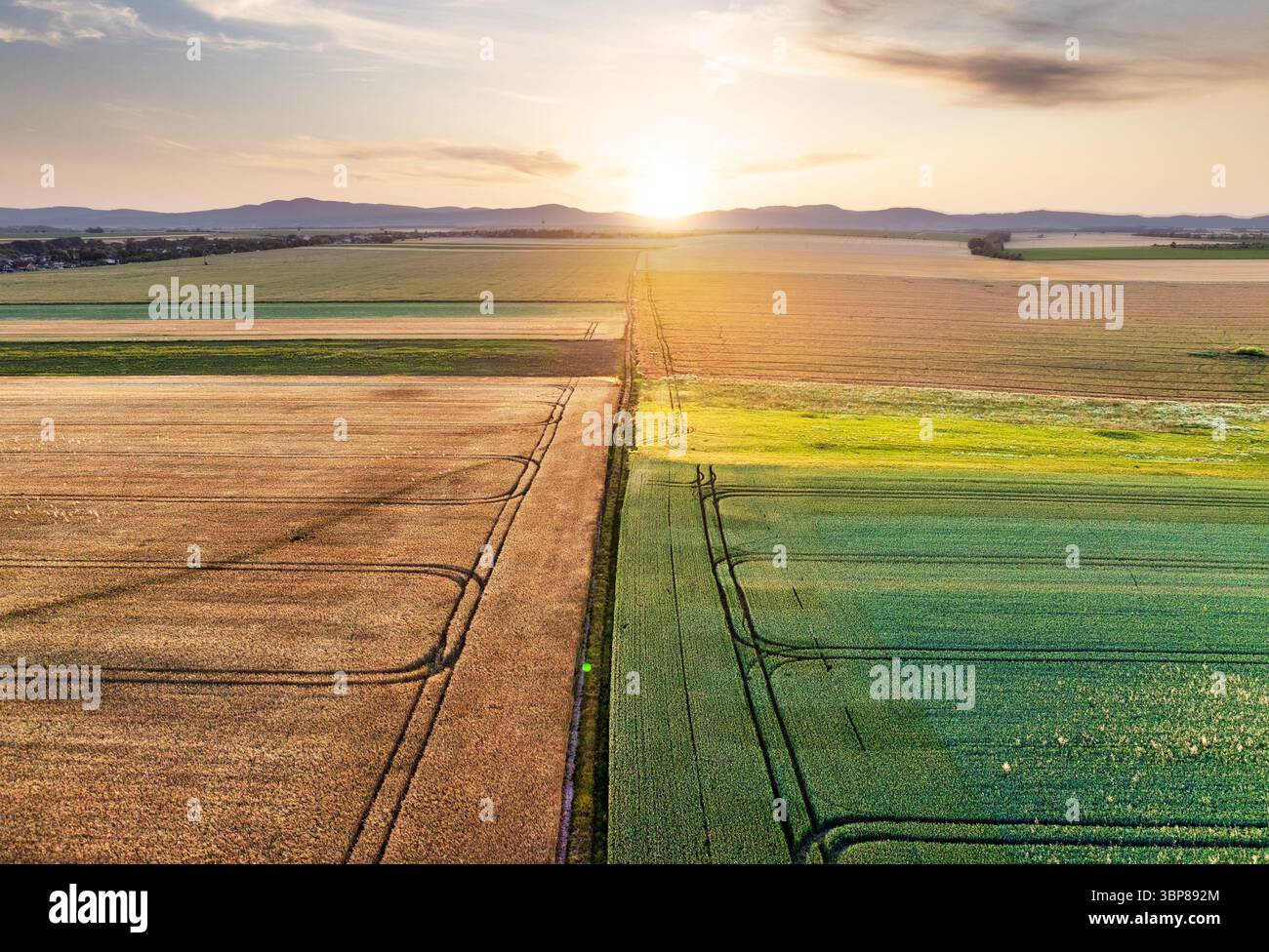 Vue aérienne des balles de foin au coucher du soleil en été. Vue de dessus des piles de foin. Agriculture. Champ après récolte avec rouleaux de fourrage. Paysage avec terre de ferme, paille Banque D'Images