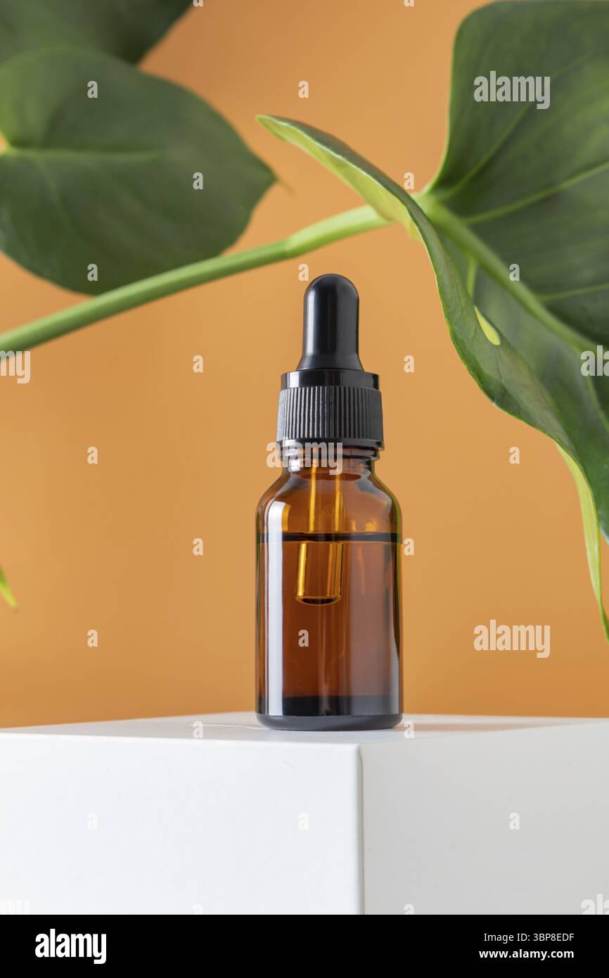 Gesichtsoel in Glasflasche mit Tropfer auf weissem podium und Monstera-Blatt Hintergrund. Moderne Selbstpflege Minimalismus in der Kosmetik und Hautpf Banque D'Images