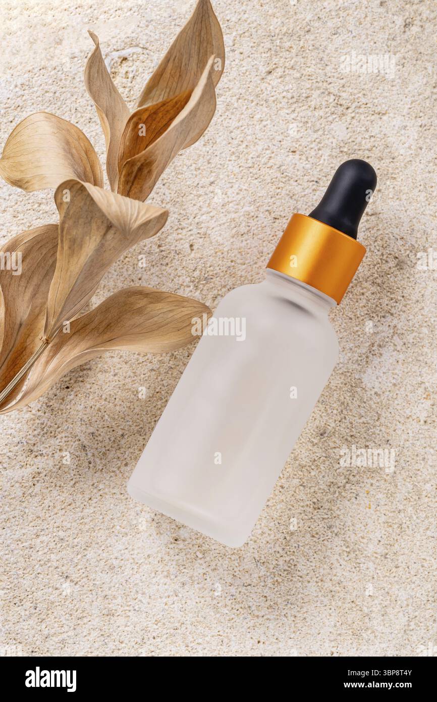 Sérum en bouteille en verre avec couvercle compte-gouttes sur grès naturel décoré de feuilles sèches. Huile essentielle pour le soin de la peau des femmes sur fond beige, fourmi Banque D'Images