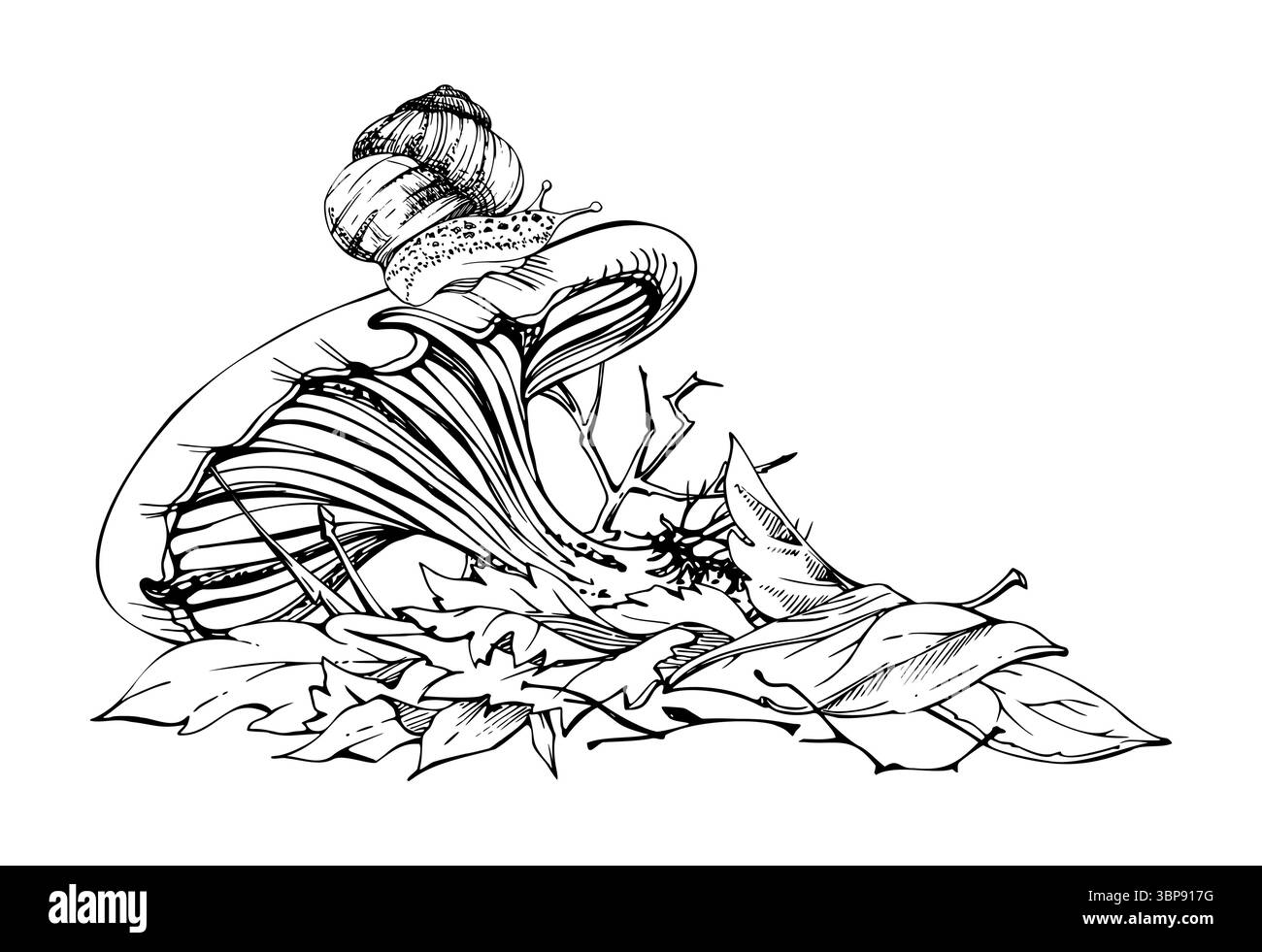 Champignon Russula cortinarius webcap, escargot rampant sur la casquette, sur le dessus des feuilles d'automne tombées tas de brindilles. Plancher forestier, scène de jardin d'arrière-cour. Champignons Illustration de Vecteur