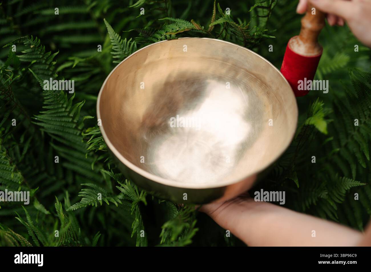 Tibetan Singing Bowl tenu sur Lush Ferns â€“ Healing and nature Vibes Banque D'Images