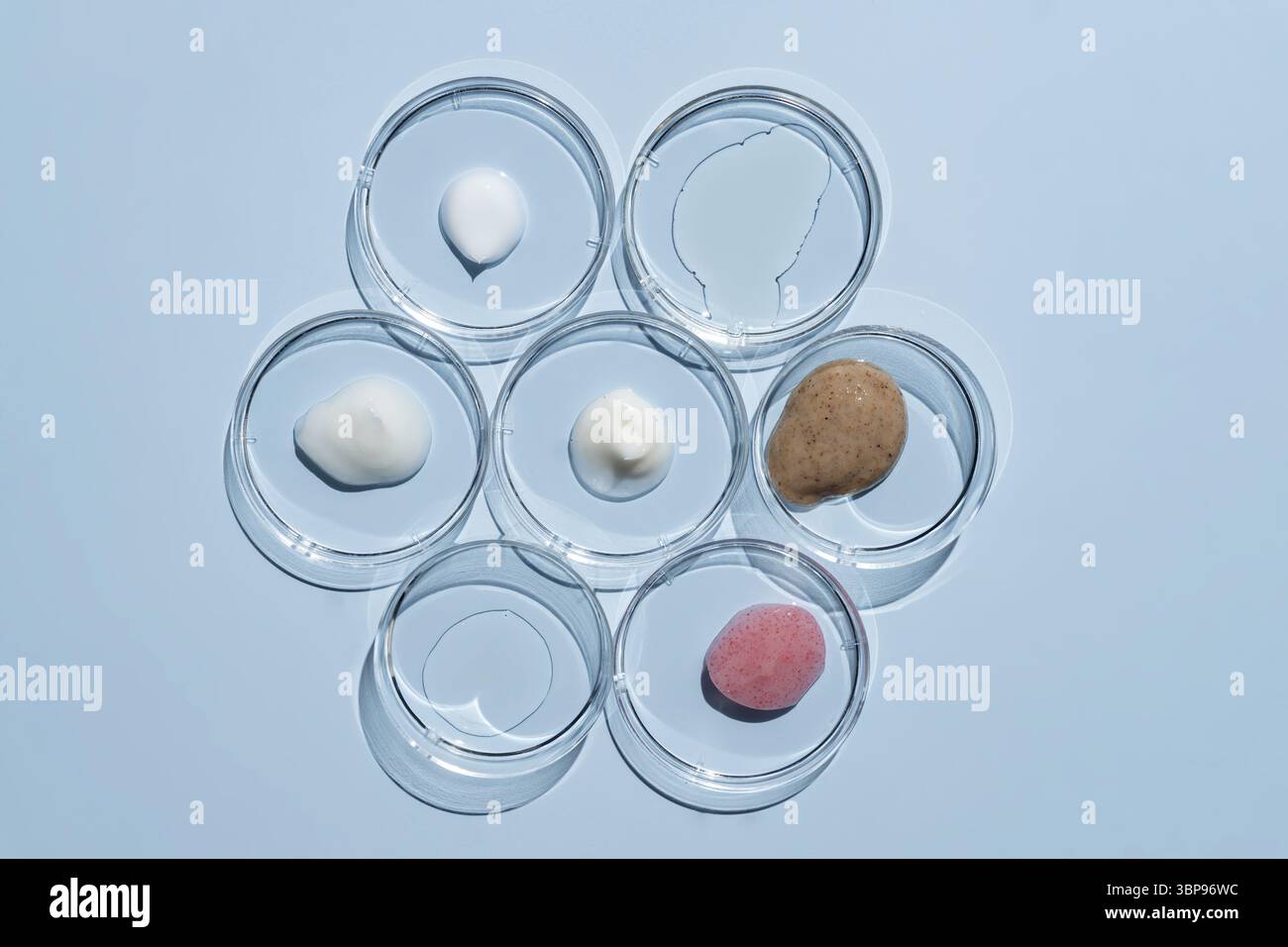 Boîtes de Petri avec taches cosmétiques et gouttes sur fond bleu. Concept de science de laboratoire Banque D'Images