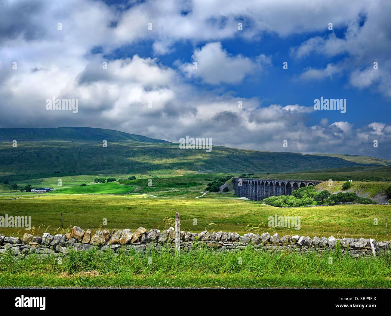 Royaume-Uni, North Yorkshire, Yorkshire Dales, Viaduc Ribblehead depuis Low Sleights Road. Banque D'Images