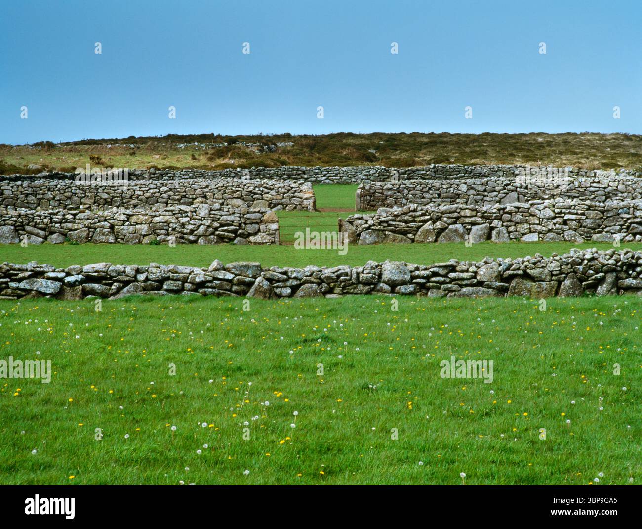 Bussullow Common, Lanyon, West Penwith, Cornwall, Angleterre Drystone Walled Fields, au nord de Coronation House. Banque D'Images