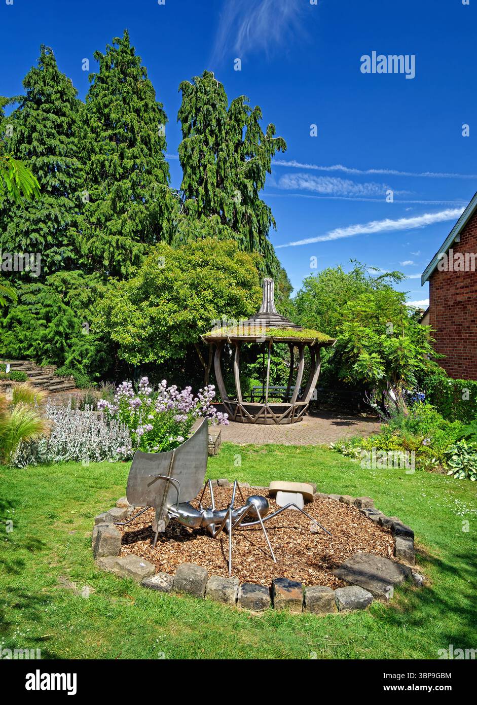 Royaume-Uni, South Yorkshire, Sheffield, jardins botaniques, Marnock Garden. Banque D'Images