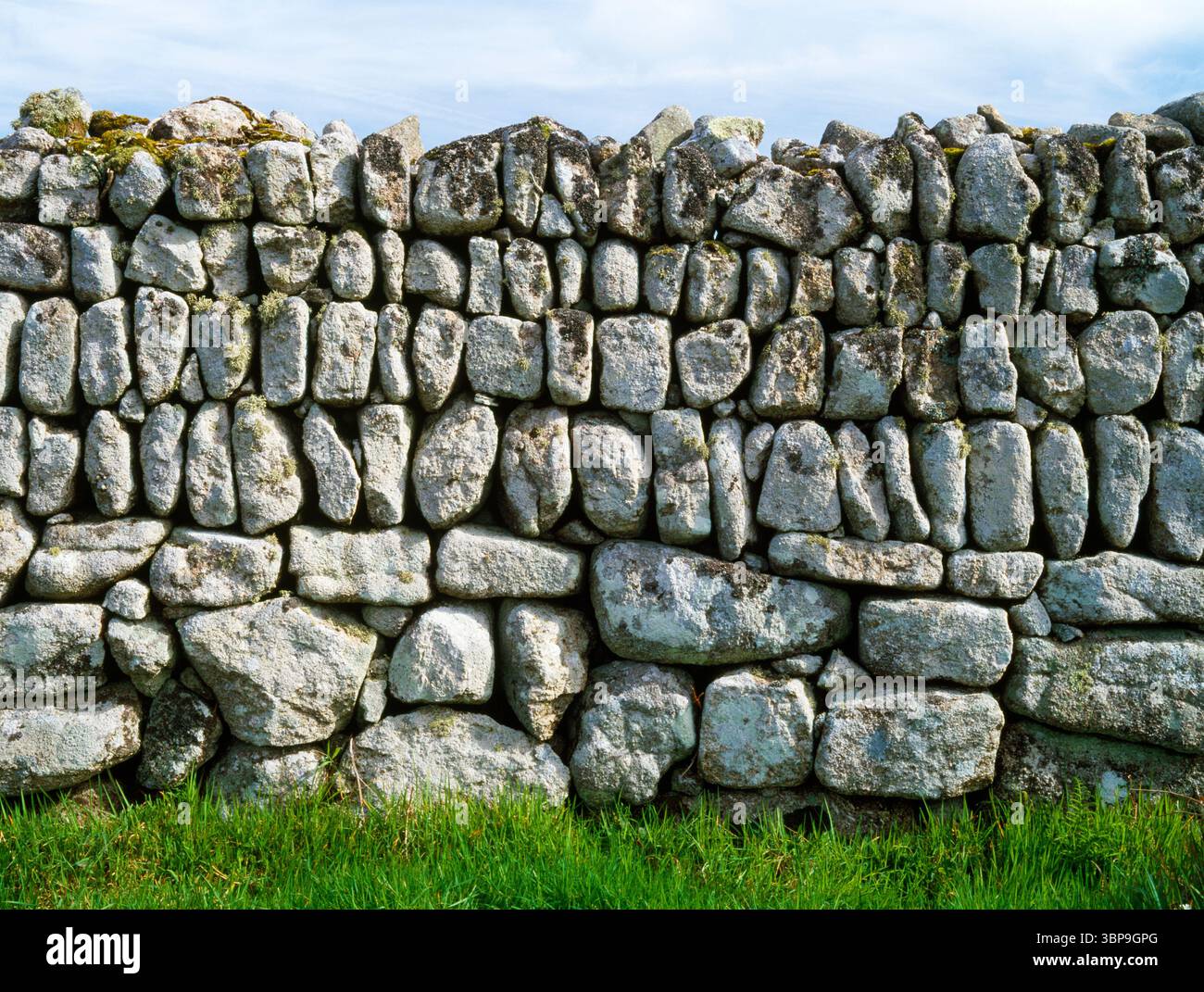 Bosporthenis, Zennor, West Penwith, Cornwall, détail du champ massif de murs de pierres sèches. Banque D'Images
