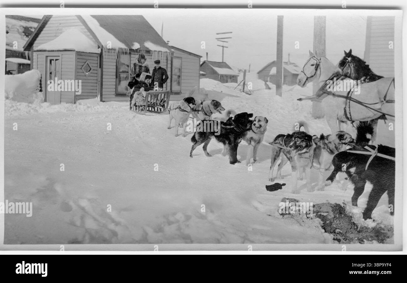Les chiens ont joué un rôle vital dans la vie quotidienne à Nome, en Alaska, vers 1906-1907, servant de principal mode de transport hivernal à travers le paysage arctique difficile et éloigné. Nome, une ville en plein essor de la ruée vers l'or à l'époque, dépendait fortement des équipes de chiens de traîneau pour transporter les fournitures, le courrier et les gens entre les camps miniers, les villages et la côte, surtout lorsque la glace et la neige rendaient tout autre voyage impossible. Banque D'Images