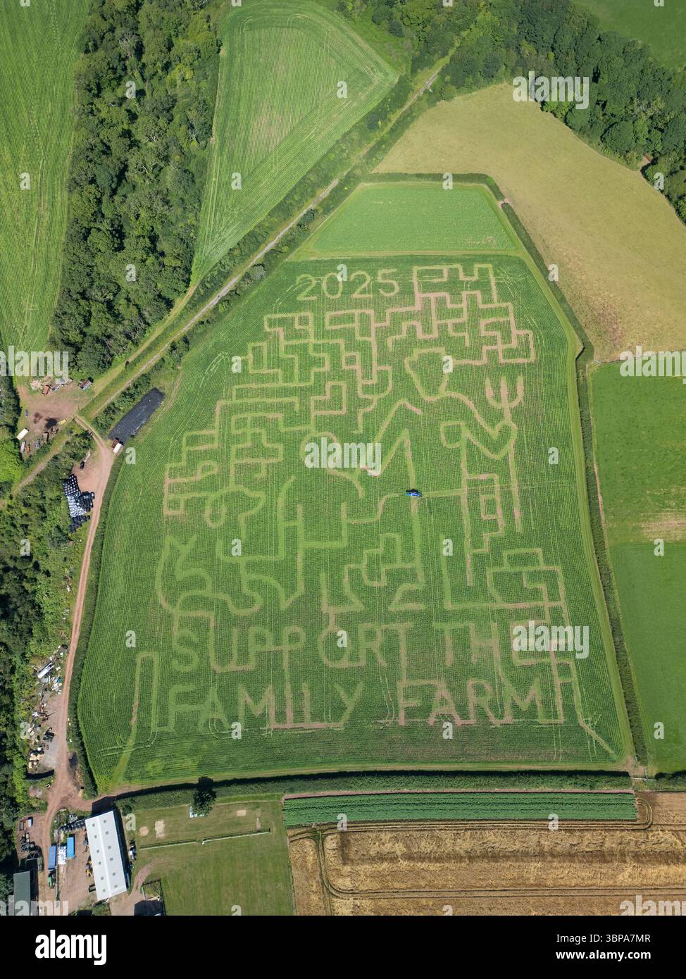 Vue aérienne du labyrinthe de maïs agricole du Pembrokeshire 2025 soutenant les fermes familiales, Waterson, Pembrokeshire, pays de Galles, Royaume-Uni Banque D'Images