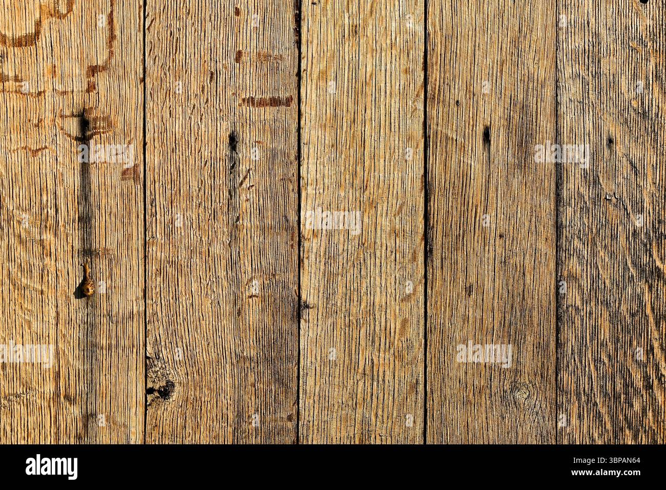 Texture de planche en bois avec des motifs de grain visibles pour fond vintage Banque D'Images