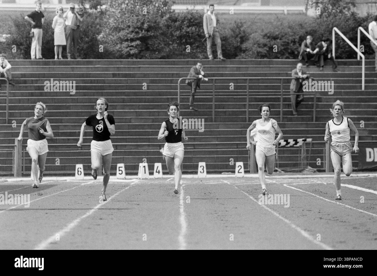 Années soixante, sports, athlétisme, Championnats d'Allemagne de l'Ouest d'athlétisme 1966 à Leverkusen, Rhénanie du Nord-Westphalie, NRW, Allemagne, 24.07.1966, course sur piste, court-courrier, femmes, coureurs Banque D'Images