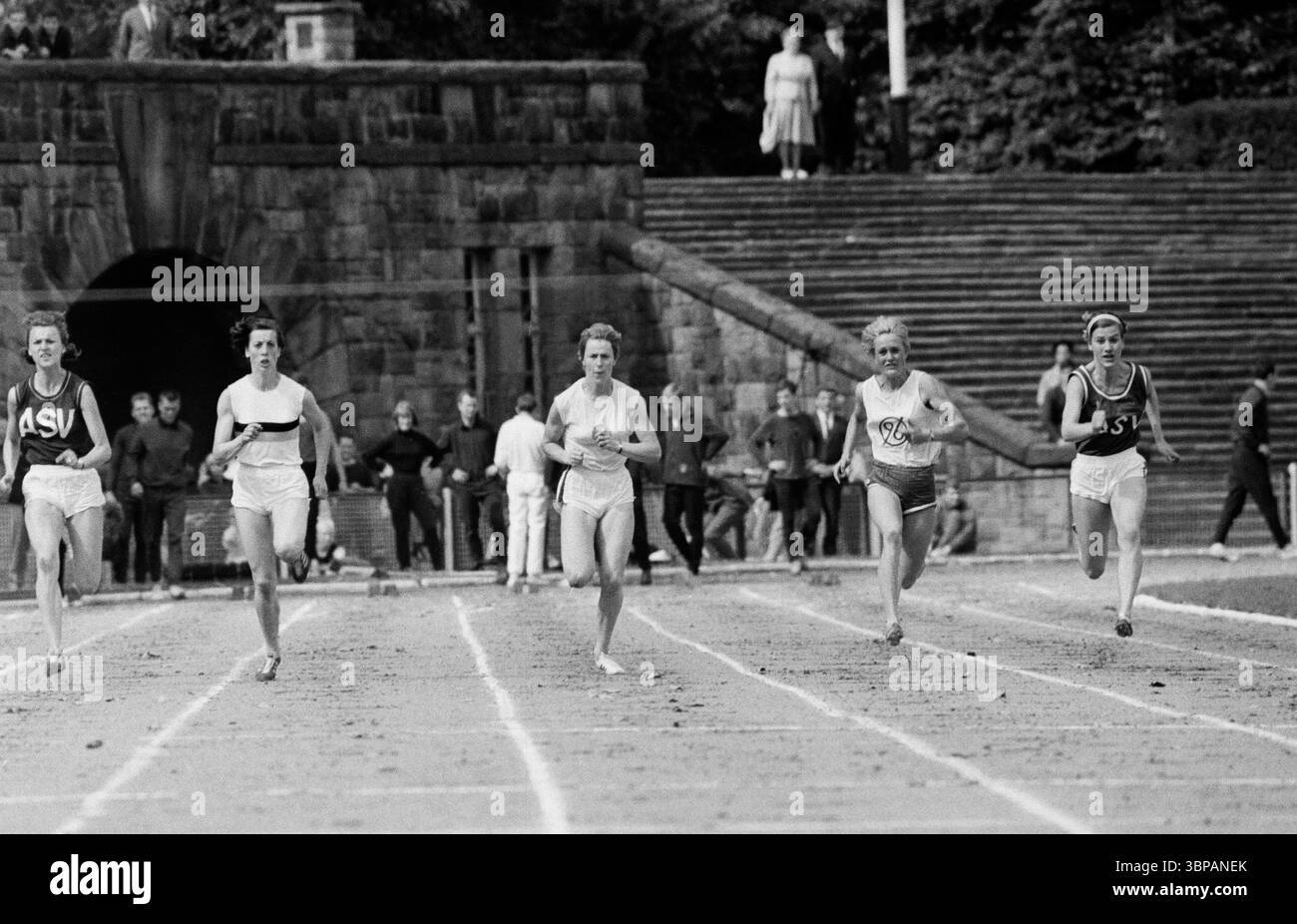 Années soixante, sports, athlétisme, concours 1966 en préparation aux Championnats d'Europe de Budapest, Gladbeck, région de la Ruhr, Rhénanie-du-Nord-Westphalie, NRW, Allemagne, 14.08.1966, Vestische Kampfbahn in Gladbeck, course sur piste, court courrier, femmes, coureurs, Jumper de Bayer Leverkusen Banque D'Images