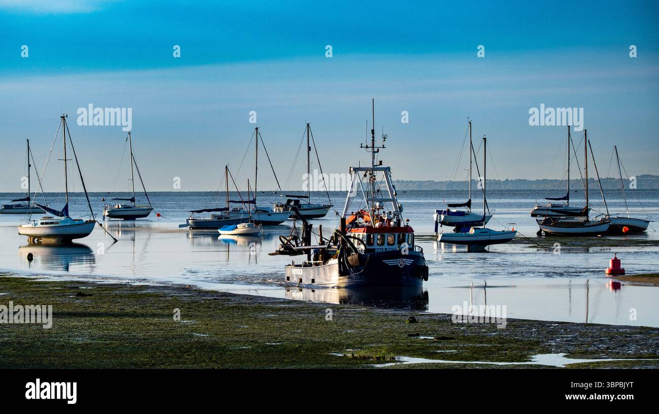 Un chalutier arrive à Old Leigh, Leigh on Sea à Southend. La ville balnéaire, connue pour ses appâts blancs et ses crustacés. Banque D'Images