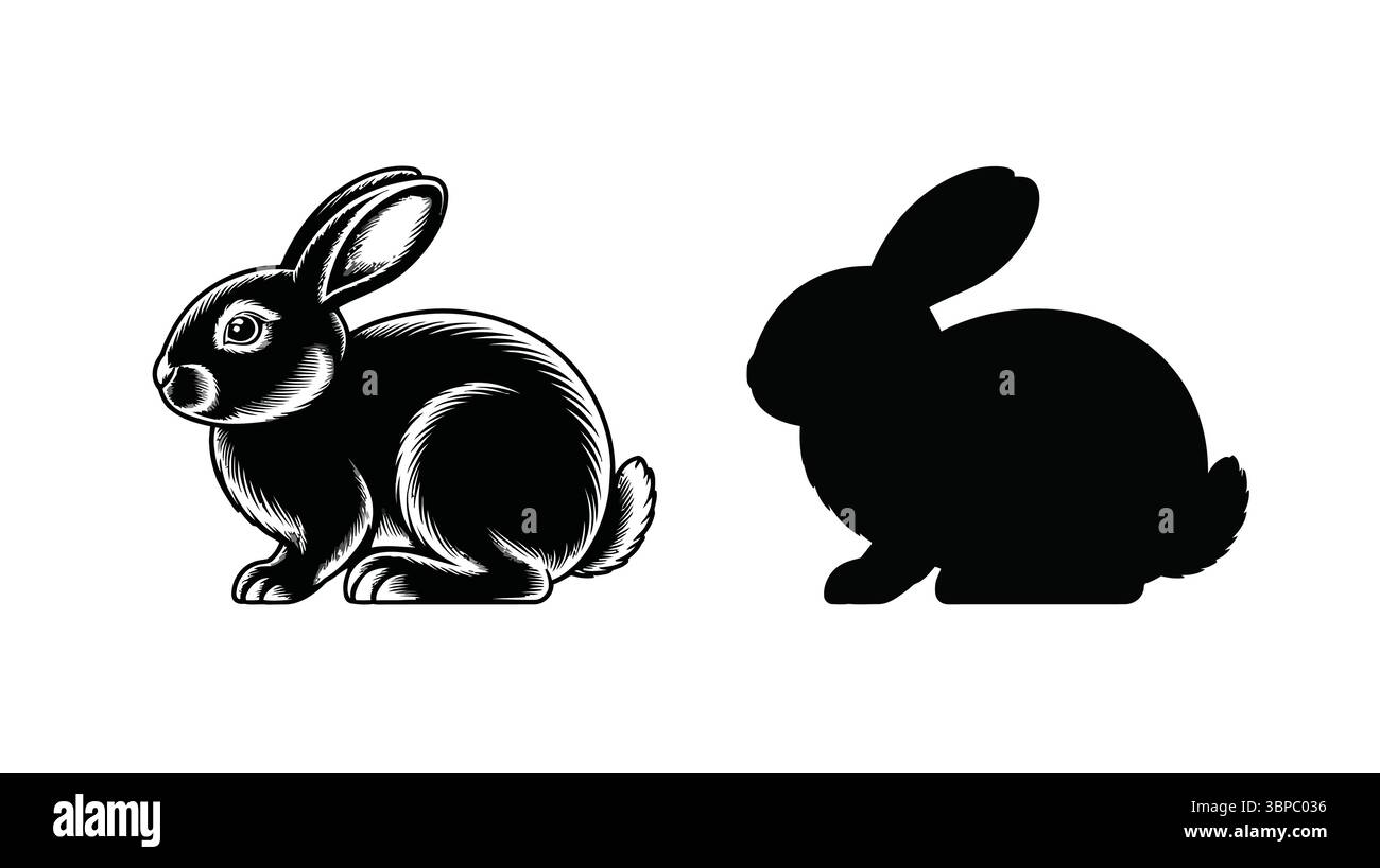 Illustration en noir et blanc montrant un lapin détaillé et une silhouette de lapin sur fond blanc Illustration de Vecteur