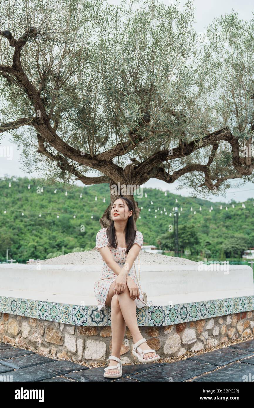 Belle jeune femme asiatique assise sous un grand olivier entouré d'un jardin tropical le week-end Banque D'Images