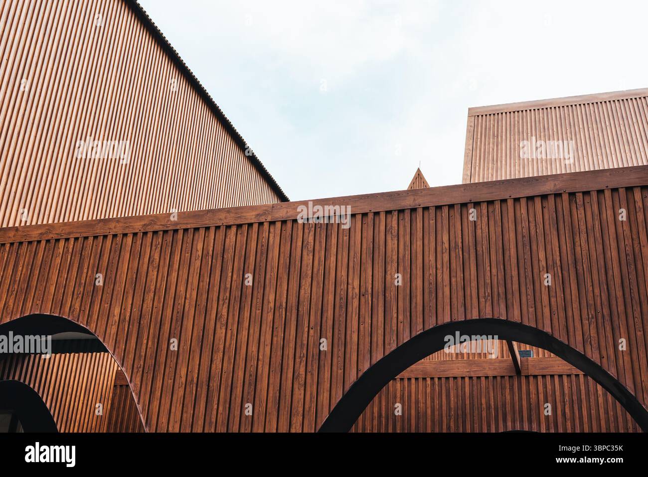 Bâtiment d'architecture contemporaine moderne avec motif en bois revêtu vertical ligne acier métallique et motif géométrique sous l'angle créatif du ciel Banque D'Images
