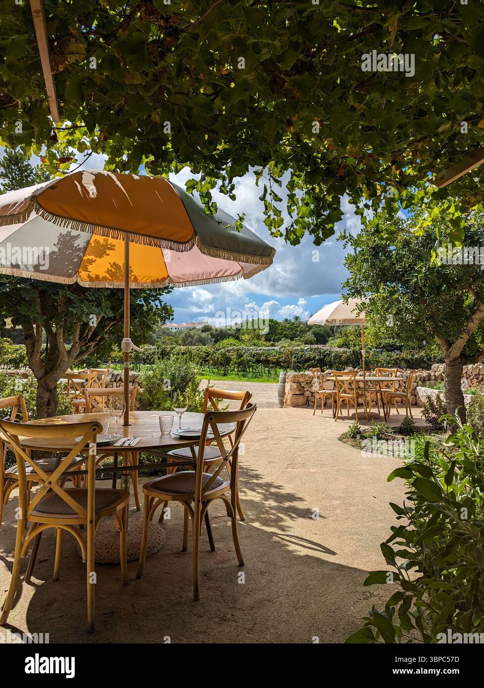 Charmante terrasse extérieure pour le dîner, avec tables et chaises sous une verrière luxuriante. Les parasols solaires colorés ajoutent de la vibration à la scène. Banque D'Images
