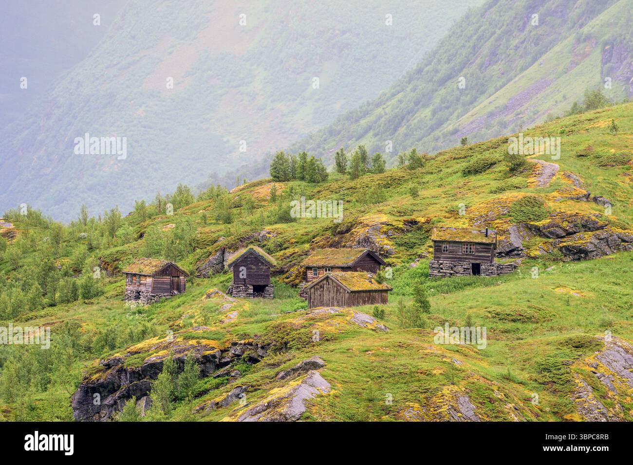 Kvanndalssætra, un pâturage de montagne d'été à Stranda Muncipality (Möre og Romsdal), dans l'ouest de la Norvège. Banque D'Images