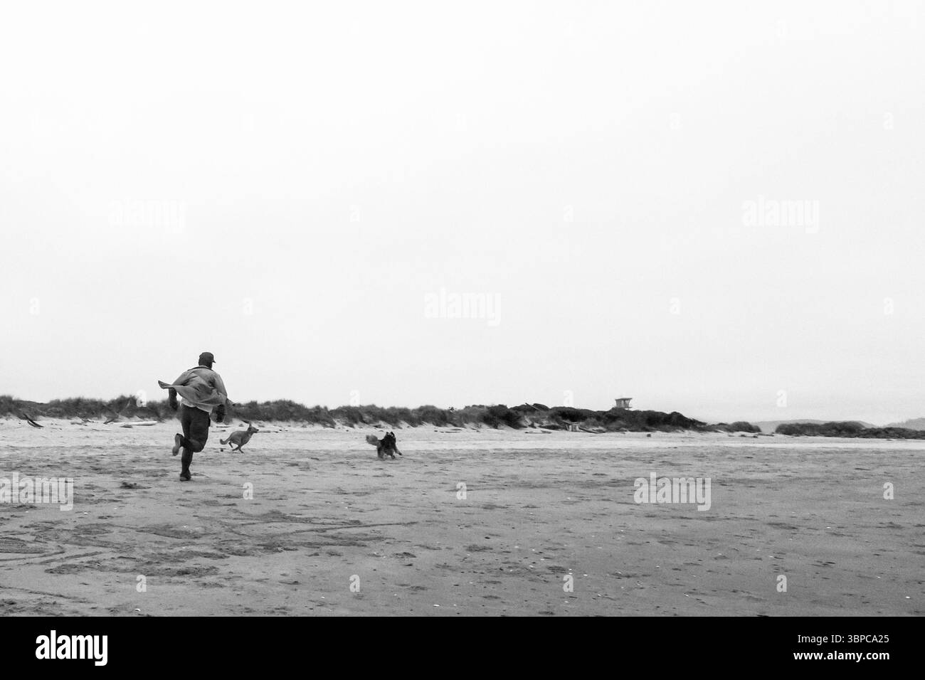 Rockaway Beach, Oregon, USA - 28 juillet 2018 : un homme court sur la plage avec ses deux chiens, profitant d'une journée de plaisir et d'exercice dans le sable. Banque D'Images