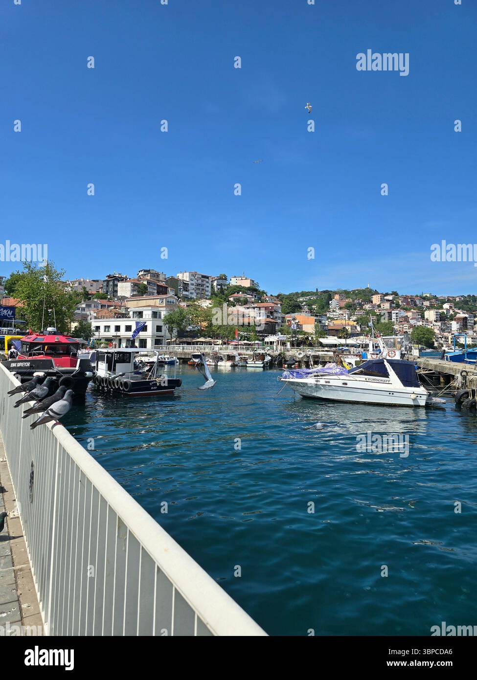 Belle journée à Istanbul Turquie avec ciel bleu, oiseaux - Image de stock capturée avec un smartphone