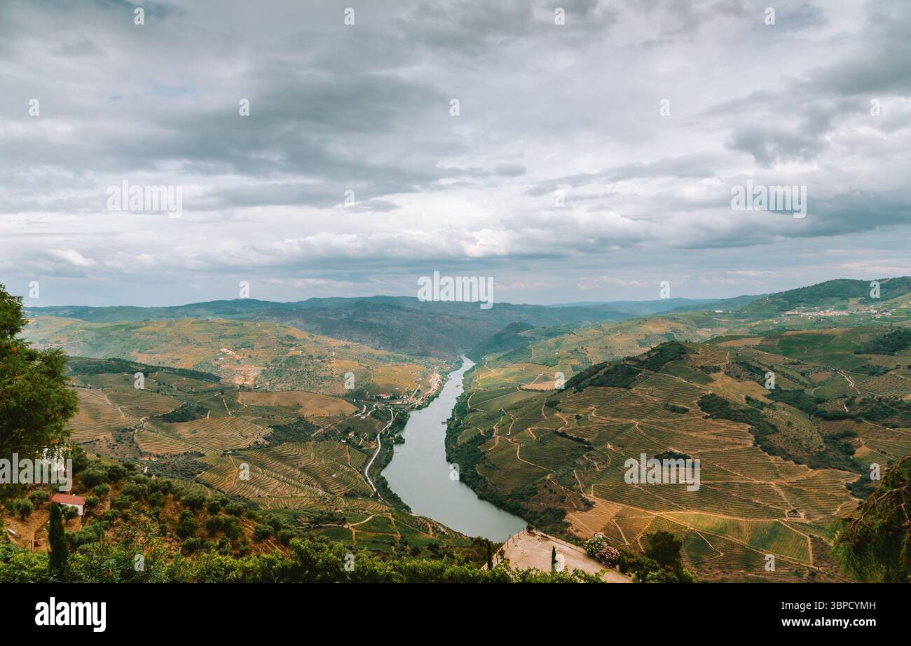 Le fleuve Douro serpente à travers une vallée pittoresque couverte de vignes à Alijo, Vila Real, Portugal, sous un ciel nuageux Banque D'Images