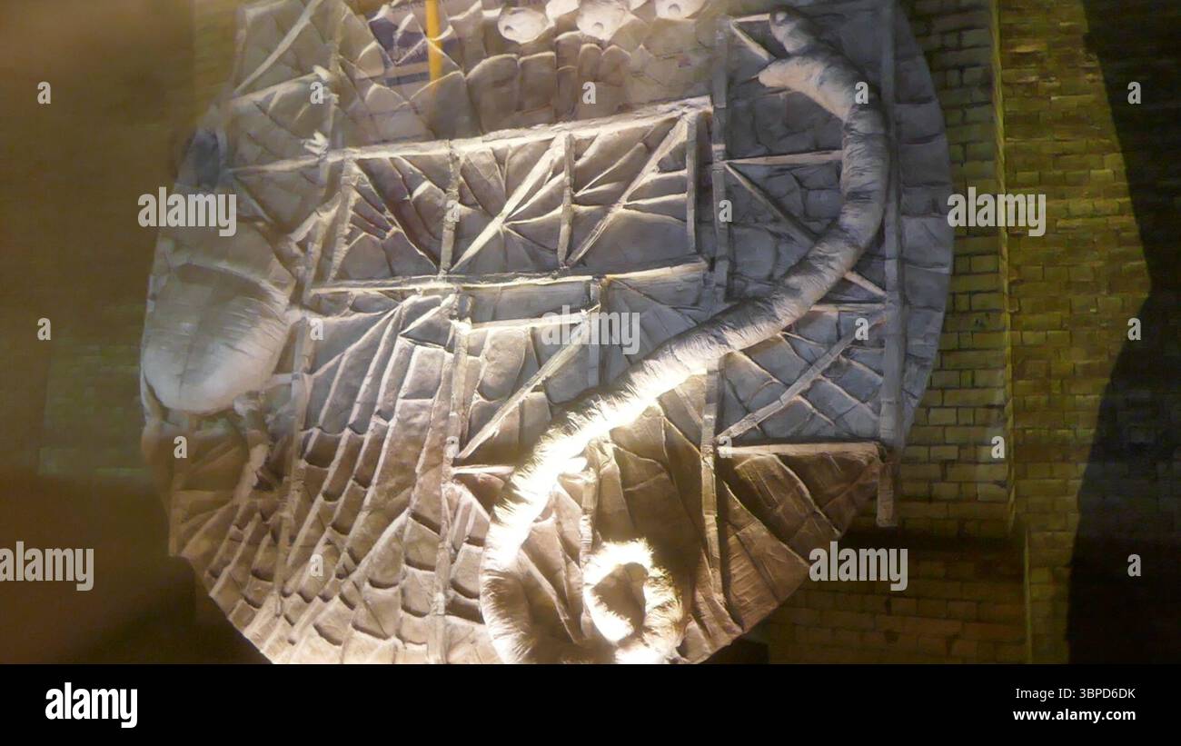Londres, Angleterre, Royaume-Uni 25 mai 2025 nature Art in a été installé James Park tube Station London le 25 mai 2025 à Londres, Angleterre, Royaume-Uni. Photo de Barry King/Alamy Stock photo Banque D'Images