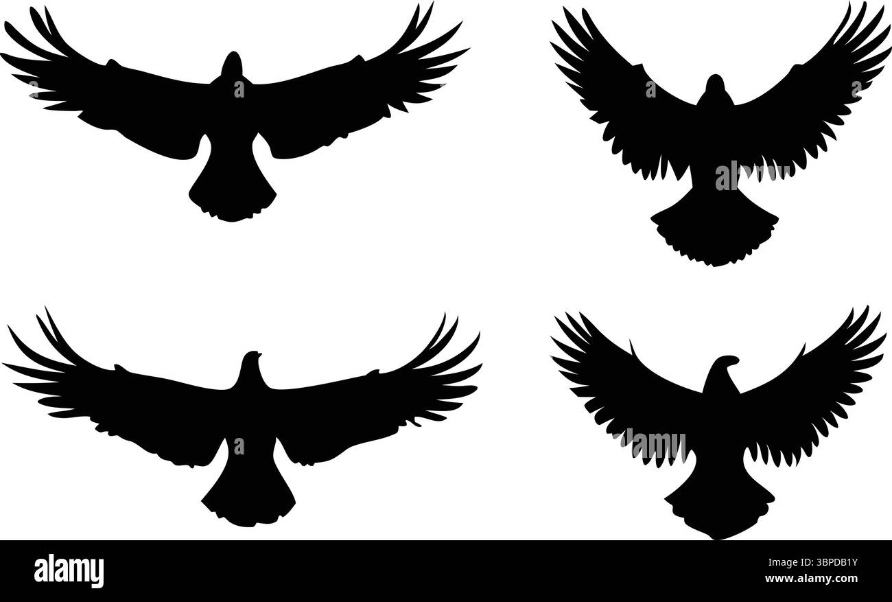 Silhouettes d'oiseaux volants vecteur, Clipart de flock noir, Art animal isolé, nature illustration de la faune, ailes étendues, contour simple, conceptions de groupe Illustration de Vecteur Silhouettes d'oiseaux volants vecteur, Clipart de flock noir, Art animal isolé, nature illustration de la faune, ailes étendues, contour simple, conceptions de groupe Illustration de Vecteur