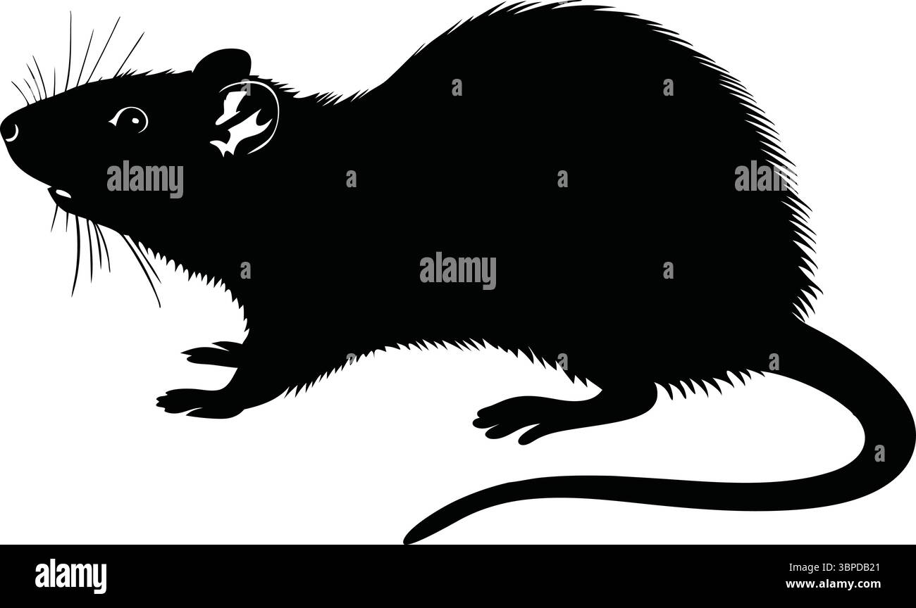Souris Silhouette vecteur, Black Rat Clipart, Art animal isolé, nature Wildlife illustration, contour simple, conception de rongeurs fourrures, dessin d'ombre. Illustration de Vecteur
