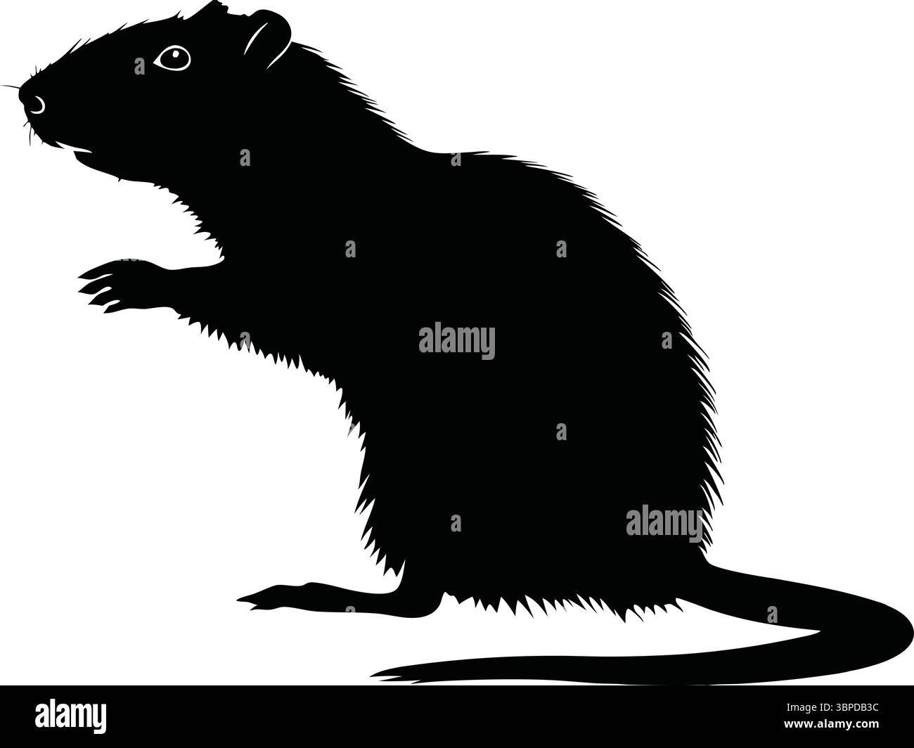 Souris Silhouette vecteur, Black Rat Clipart, Art animal isolé, nature Wildlife illustration, contour simple, conception de rongeurs fourrures, dessin d'ombre. Illustration de Vecteur