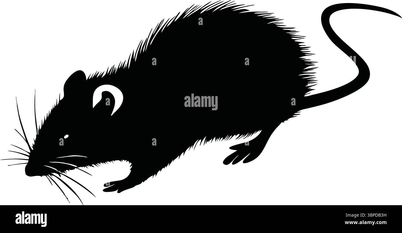 Souris Silhouette vecteur, Black Rat Clipart, Art animal isolé, nature Wildlife illustration, contour simple, conception de rongeurs fourrures, dessin d'ombre. Illustration de Vecteur