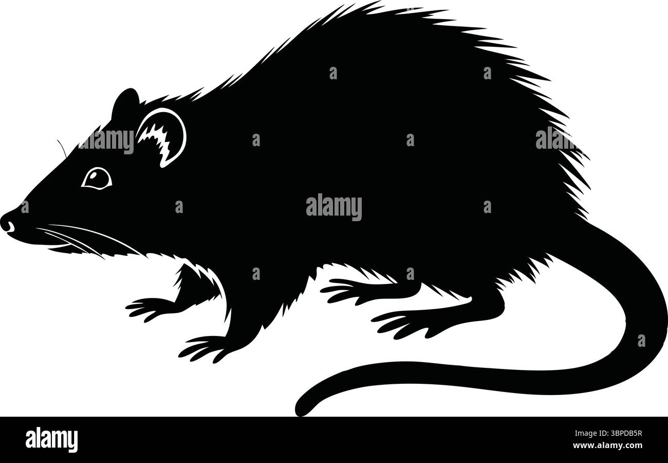 Souris Silhouette Vector, Black Rat Clipart, animal isolé, nature Wildlife illustration, contour simple, conception de rongeur mignon, dessin d'ombre minimal Illustration de Vecteur