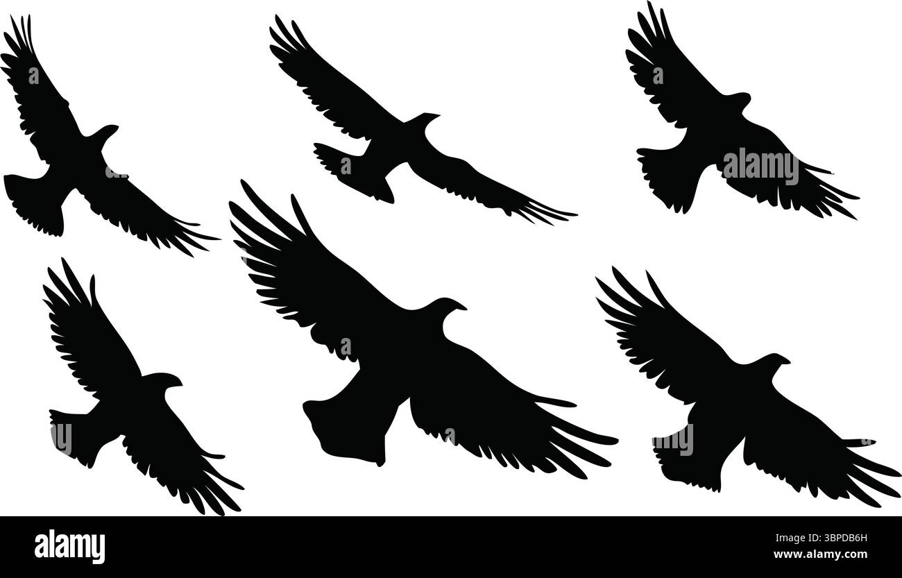 Six silhouettes d'oiseaux volants vecteur, Clipart de corbeau de corbeau noir, Art animal isolé, illustration de la faune sauvage de la nature, ailes étalées, conception simple de floc, Illustration de Vecteur