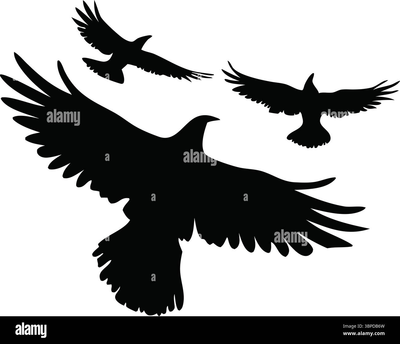 Silhouettes d'oiseaux volants vecteur, Clipart de corbeau de corbeau noir, animal isolé, nature illustration de la faune, ailes écartées, conception simple de floc, élégant, Illustration de Vecteur