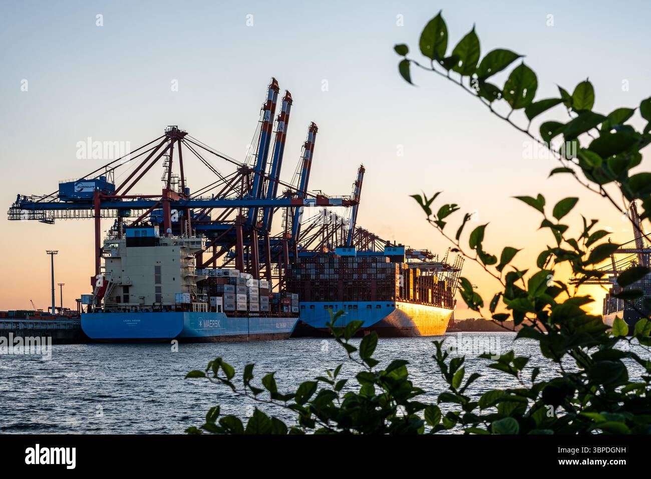 Navires porte-conteneurs débarquant au terminal à conteneurs Eurogate à Hambourg Waltershof au coucher du soleil Banque D'Images
