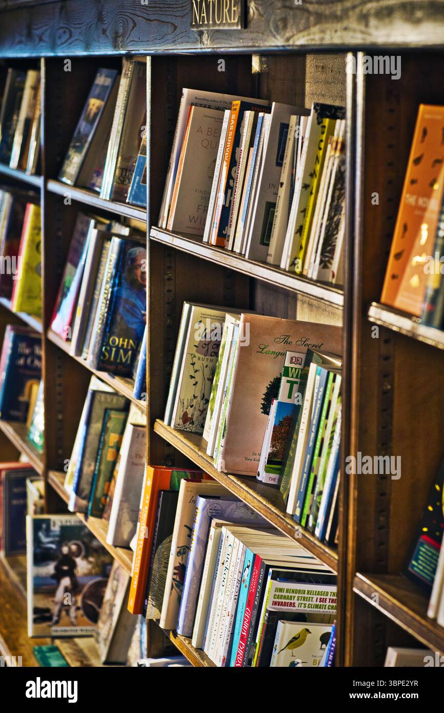 Étagères à livres à Daunt Books Marylebone , Londres Royaume-Uni Banque D'Images