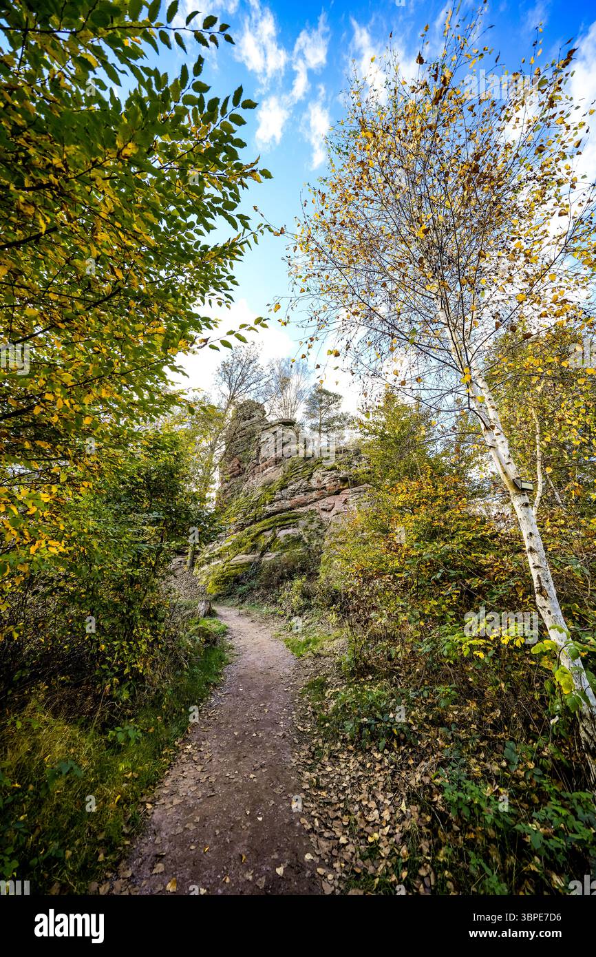 Vue des formations rocheuses près de Dahn dans le Palatinat. Falaises de grès rouge dans la forêt du Palatinat. Banque D'Images