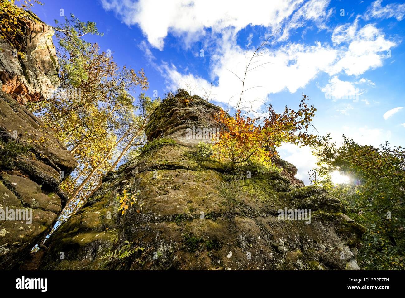Vue des formations rocheuses près de Dahn dans le Palatinat. Falaises de grès rouge dans la forêt du Palatinat. Banque D'Images