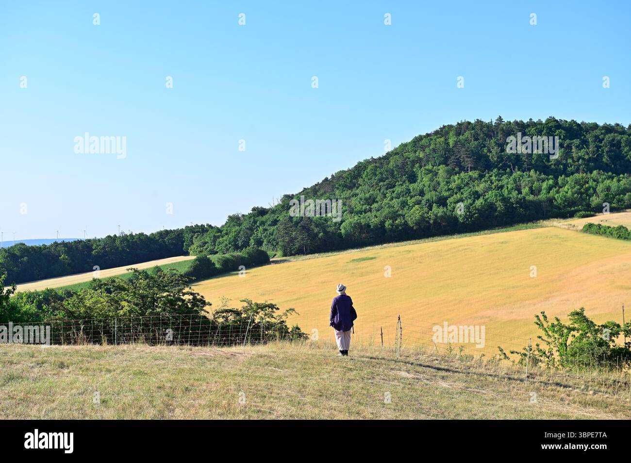 Basse-Autriche, Autriche. Le sentier de sculpture de Klement via le lieu de pèlerinage d'Oberleis à Buschberg Banque D'Images