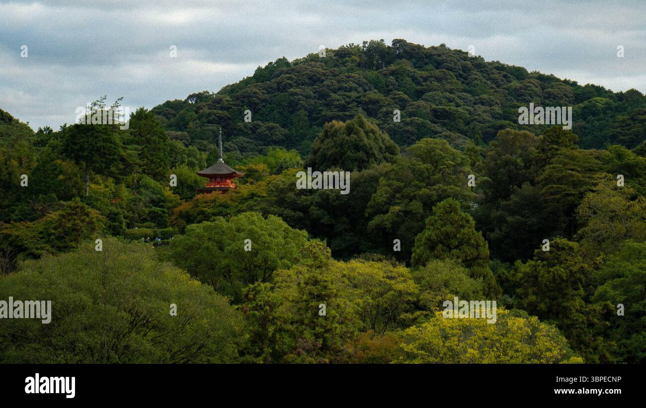 Vue lointaine de la pagode Kiyomizu-dera jetant un œil à travers la forêt verdoyante de Kyoto, Japon Banque D'Images