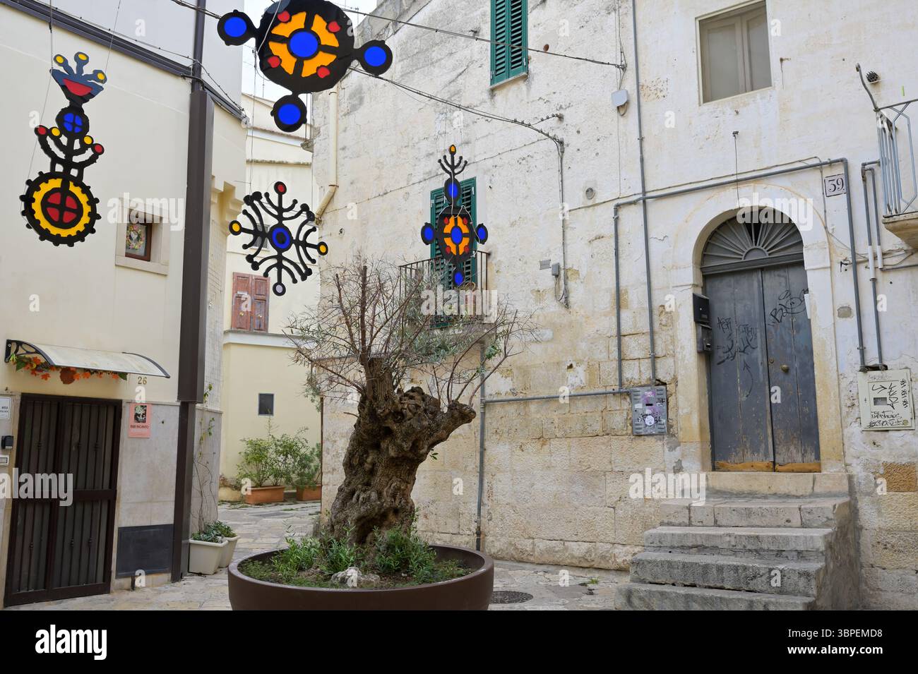 Altamura, Pouilles, Italie - 02 septembre 2024 - ruelle étroite avec de vieux oliviers et des décorations colorées dans le vieux centre-ville d'Altamura. Banque D'Images