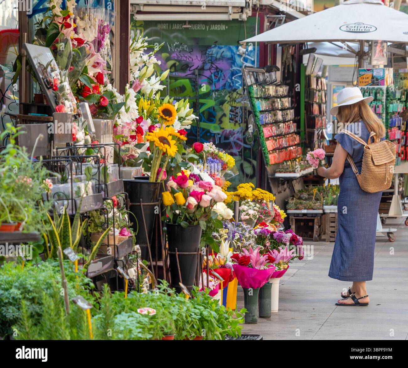 Une femme parcourt les fleurs à un stand de fleuriste sur la promenade animée de la Rambla. Barcelone, Espagne. Banque D'Images