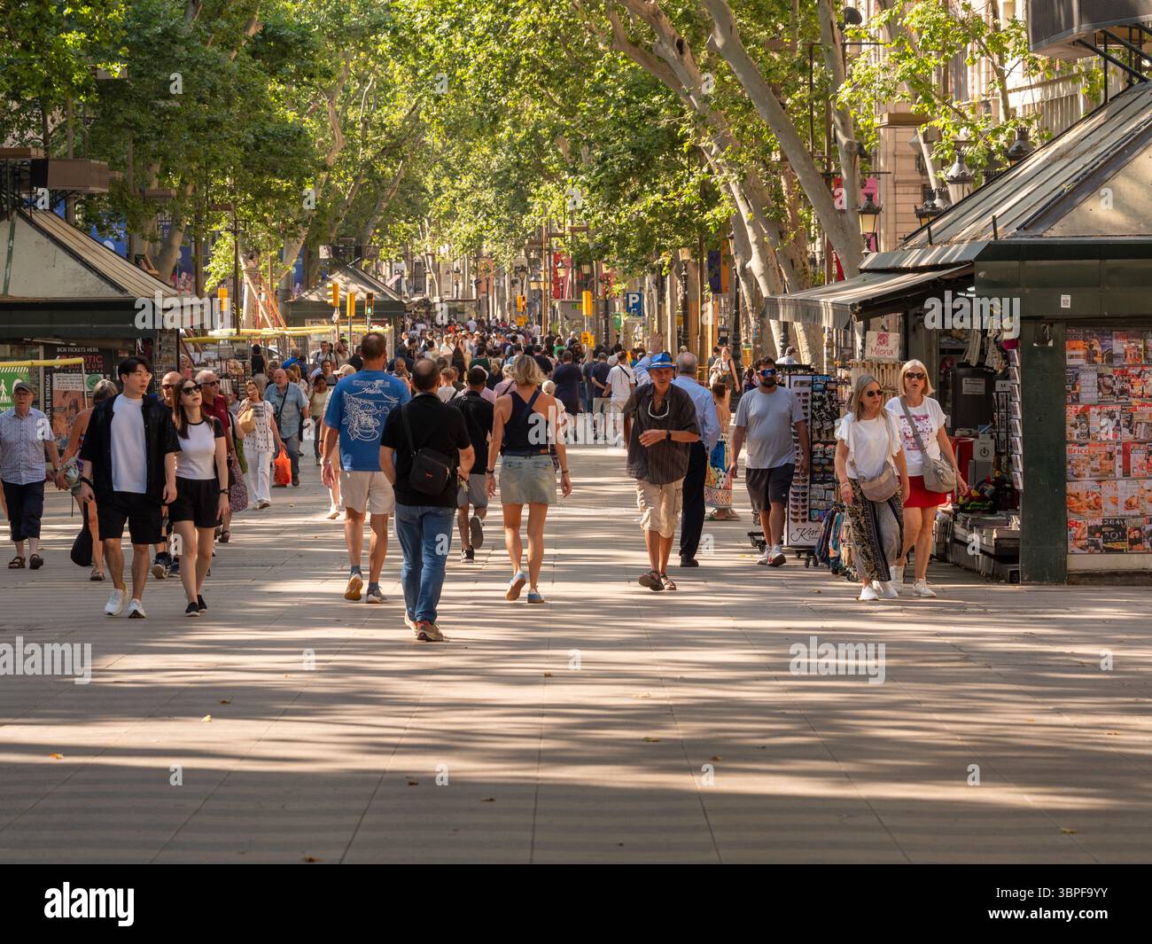 La lumière du soleil filtre à travers les arbres bordant la Rambla, projetant de longues ombres tandis que les gens marchent le long du boulevard emblématique de Barcelone, en Espagne. Banque D'Images