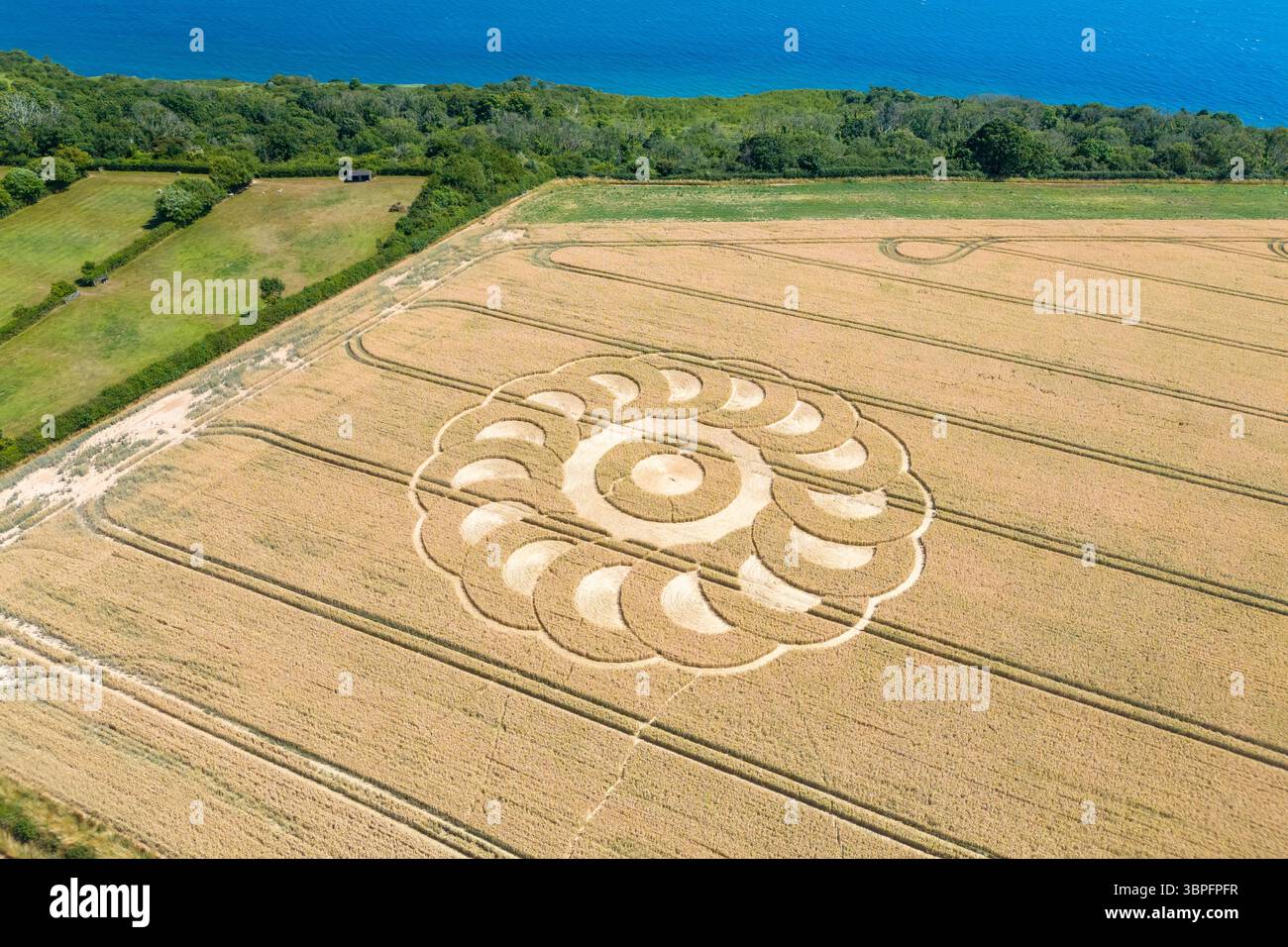 Ware, Devon, Royaume-Uni. 8 juillet 2025. Météo britannique. Vue aérienne d'un mystérieux crop circle qui est apparu à la fin de juin dans un champ de blé à Ware dans le Devon sur la frontière du comté de Devon et Dorset près de Lyme Regis par un après-midi chaud et ensoleillé. Crédit photo : Graham Hunt/Alamy Live News Banque D'Images