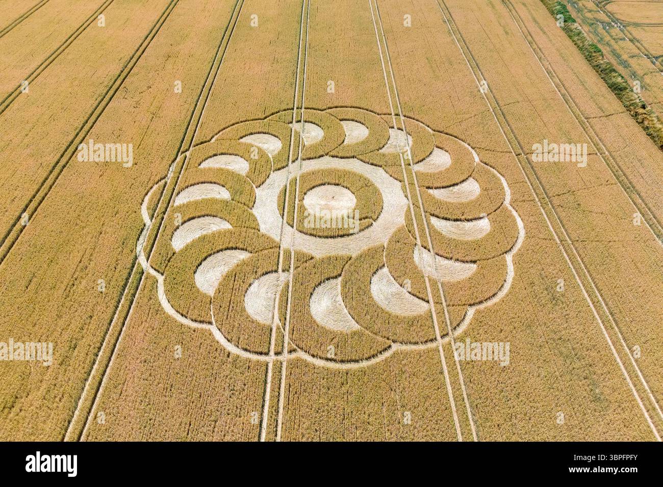 Ware, Devon, Royaume-Uni. 8 juillet 2025. Météo britannique. Vue aérienne d'un mystérieux crop circle qui est apparu à la fin de juin dans un champ de blé à Ware dans le Devon sur la frontière du comté de Devon et Dorset près de Lyme Regis par un après-midi chaud et ensoleillé. Crédit photo : Graham Hunt/Alamy Live News Banque D'Images