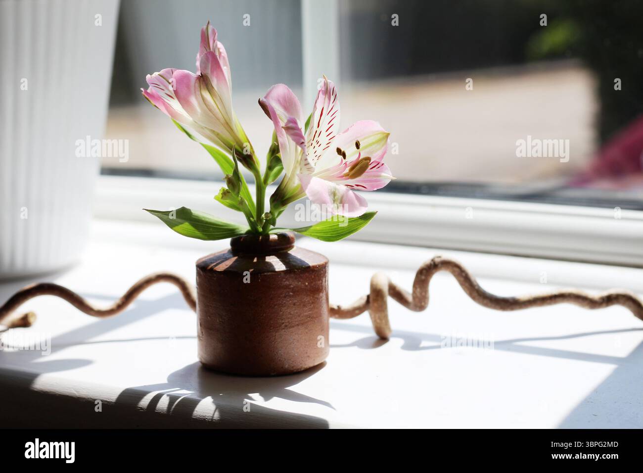 Une petite coupe d'alstroemeria 'Summer Break' dans un petit pot en grès (un encrier antique) sur un rebord de fenêtre avec un morceau de bois torsadé Banque D'Images