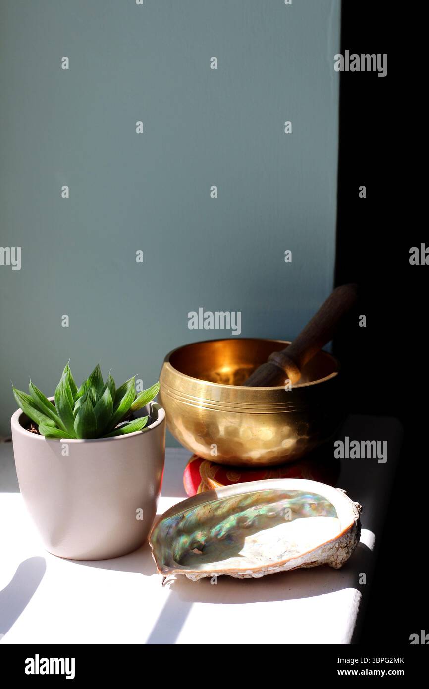 Créer un sentiment de calme avec une collection d'objets - une succulente (Haworthia cooperi), une coquille d'ormeaux et un bol chantant Banque D'Images