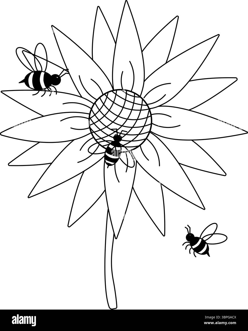 Composition de tournesol et d'abeille. Illustration de ligne graphique vectorielle. Parfait pour les cartes, décorations, autocollants, logo, menu, divers modèles. Pour logo, Web, Illustration de Vecteur