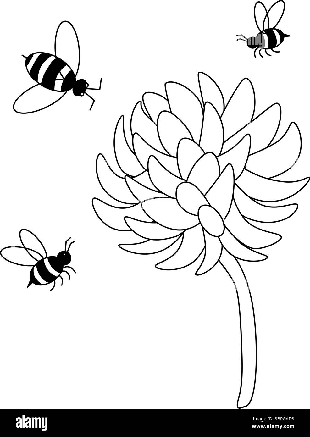 Fleurs sauvages de trèfle et composition de bourdon. Illustration de ligne graphique vectorielle. Produits naturels, miel, marché fermier, homéopathie, magasin de beauté, elle Illustration de Vecteur