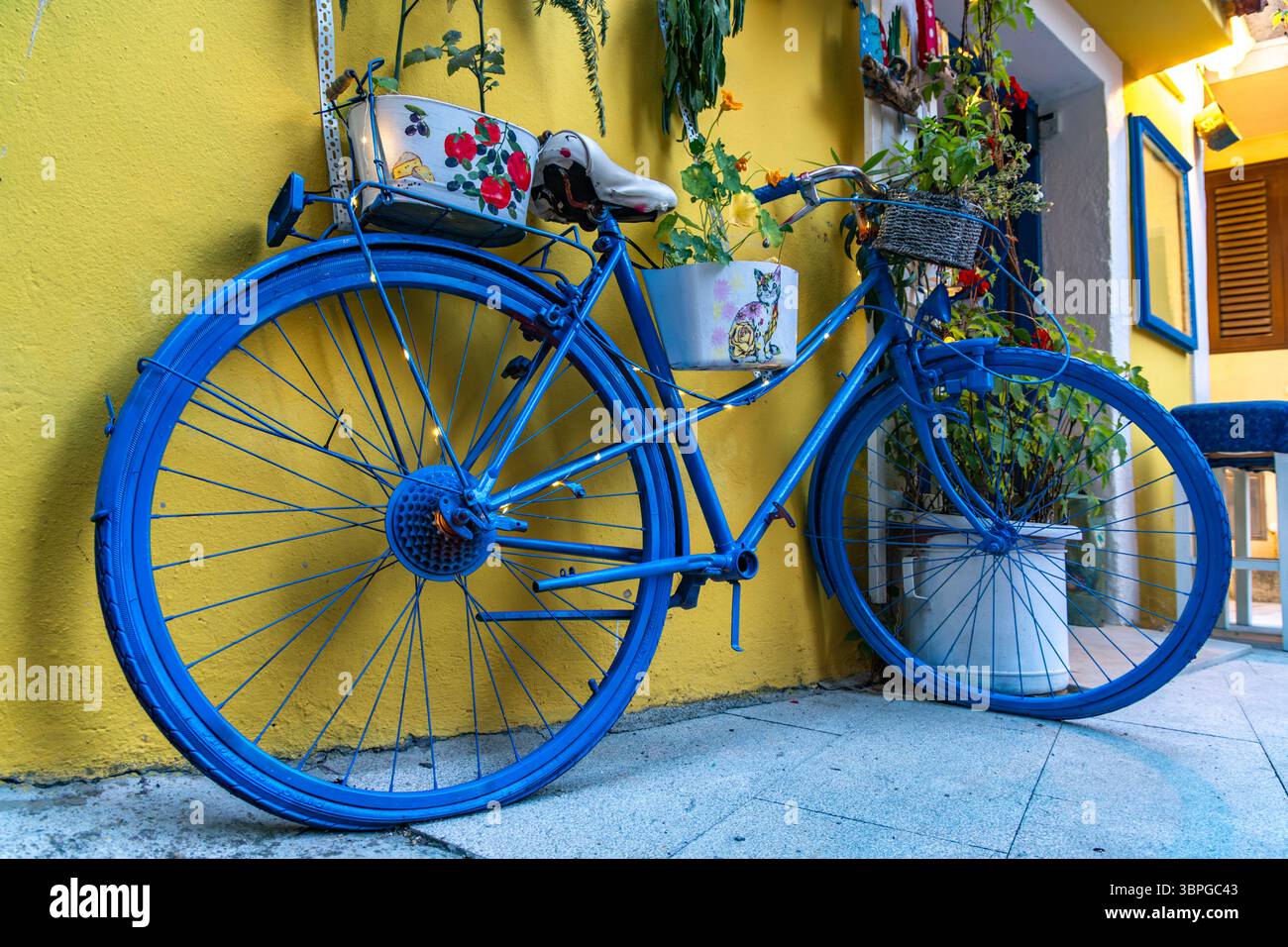 Vieux vélo bleu converti en un parterre de fleurs, décoration de jardin, parterre de fleurs d'un vélo Banque D'Images Vieux vélo bleu converti en un parterre de fleurs, décoration de jardin, parterre de fleurs d'un vélo Banque D'Images