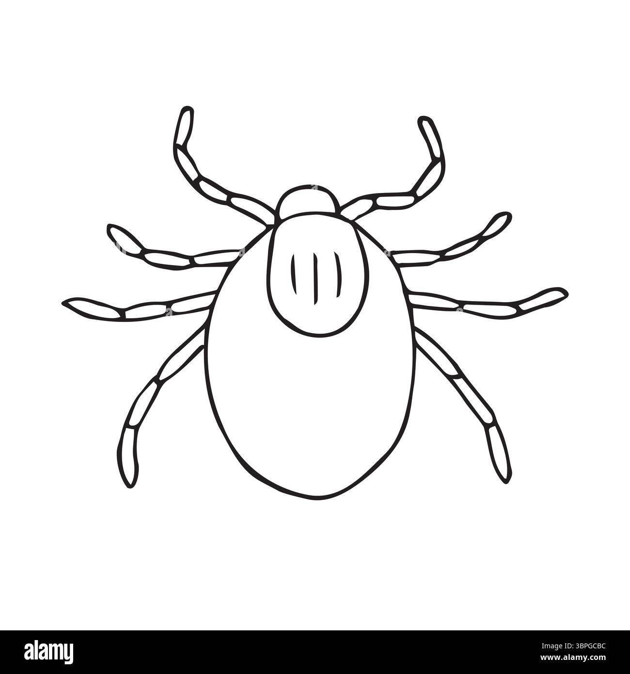 Vecteur dessin à la main dessin doodle contour acarien isolé sur fond blanc Illustration de Vecteur